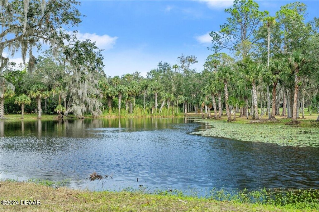 Flagler Beach, Florida, 32136, United States, ,Land,Forsale,2002762