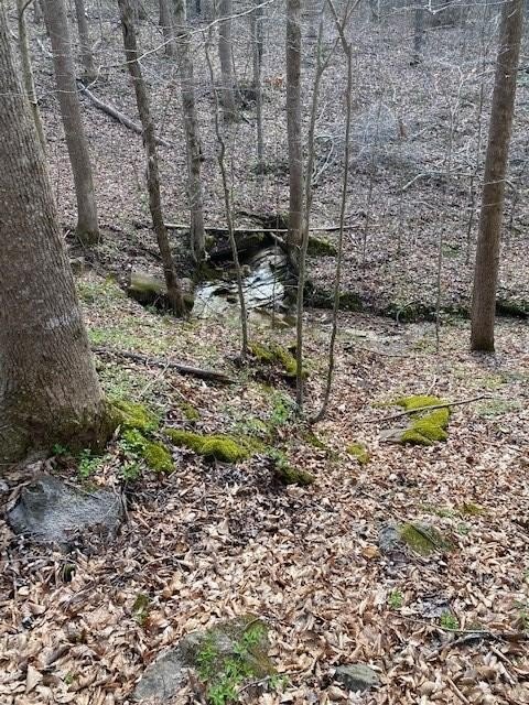 Hilham, Tennessee, 38568, United States, ,Land,Forsale,1999489