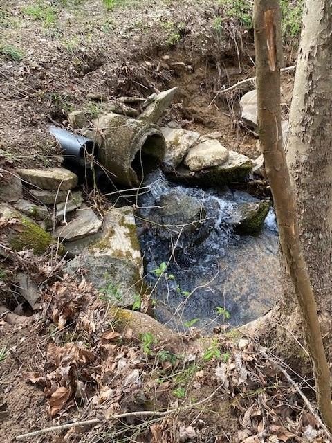 Hilham, Tennessee, 38568, United States, ,Land,Forsale,1999489