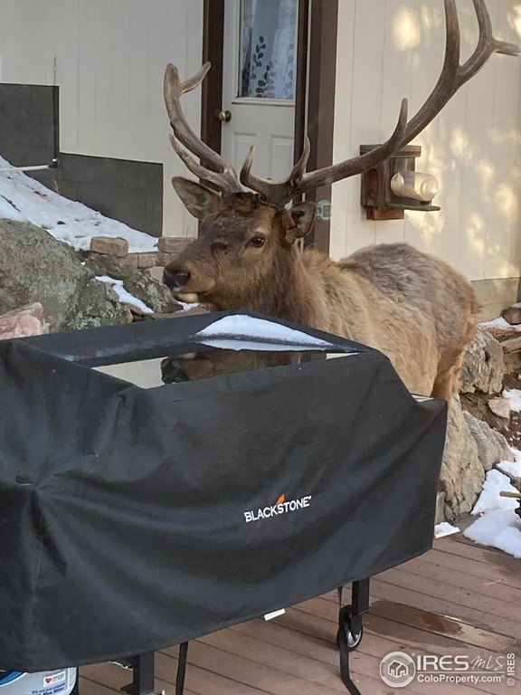 Loveland, Colorado, 80537, United States, 3 Bedrooms Bedrooms, ,2.5 BathroomsBathrooms,Residential,Forsale,1967204