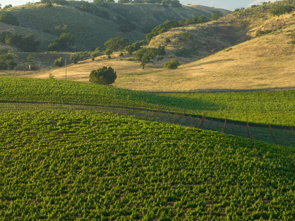 SANTA YNEZ, California, 93460, United States, ,Land,Forsale,1985949