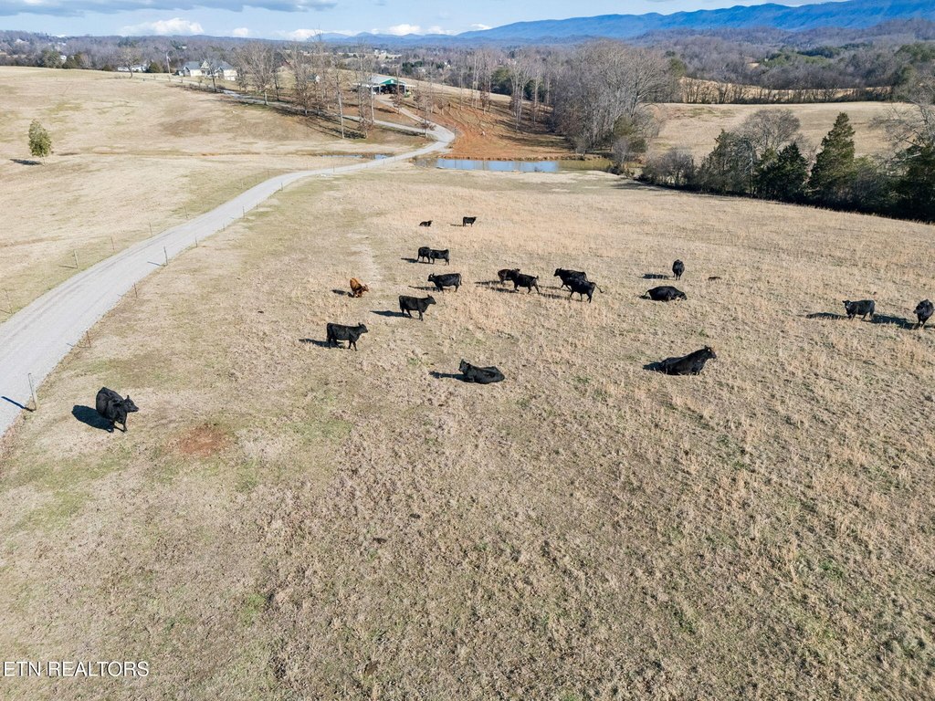 Maryville, Tennessee, 37801, United States, 4 Bedrooms Bedrooms, ,3.5 BathroomsBathrooms,Residential,Forsale,2011912