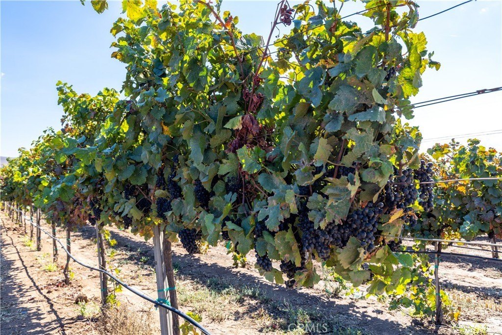 Soledad, California, 93960, United States, 3 Bedrooms Bedrooms, ,2 BathroomsBathrooms,Residential,Forsale,1997692