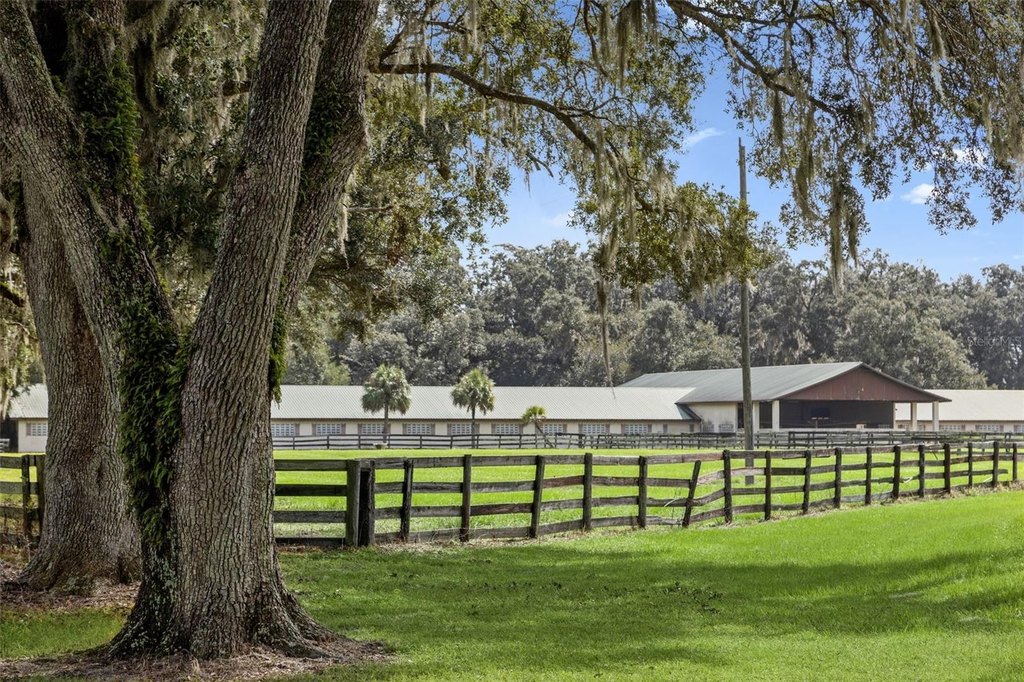 WILLISTON, Florida, 32696, United States, ,Commercial,Forsale,2004593