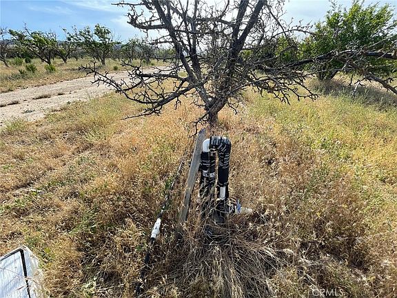 Paso Robles, California, 93446, United States, ,Land,Forsale,1967196