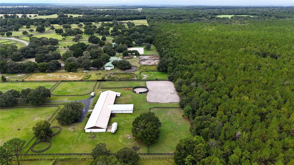 MORRISTON, Florida, 32668, United States, 5 Bedrooms Bedrooms, ,3 BathroomsBathrooms,Residential,Forsale,1969792