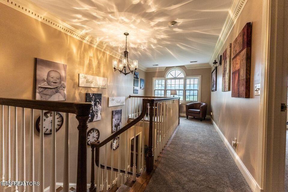 Pikeville, Tennessee, 37367, United States, 5 Bedrooms Bedrooms, ,5.5 BathroomsBathrooms,Residential,Forsale,1929853