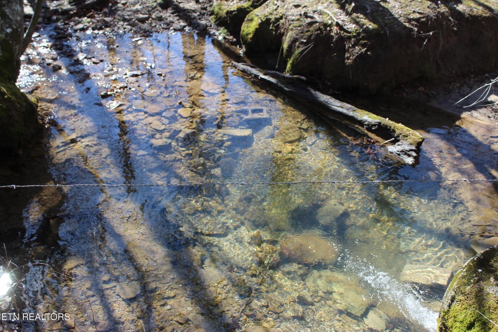 Jamestown, Tennessee, 38556, United States, 3 Bedrooms Bedrooms, ,1 BathroomBathrooms,Residential,Forsale,1885987