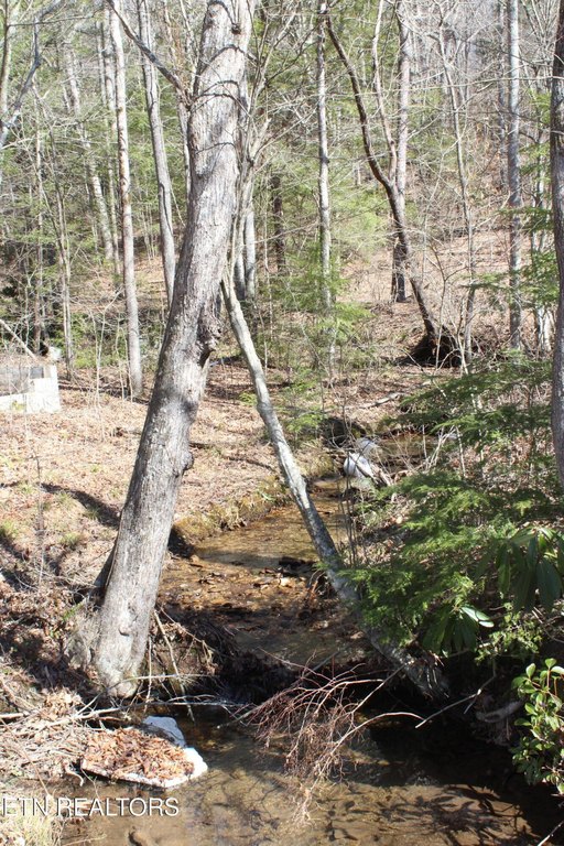 Jamestown, Tennessee, 38556, United States, 3 Bedrooms Bedrooms, ,1 BathroomBathrooms,Residential,Forsale,1885987