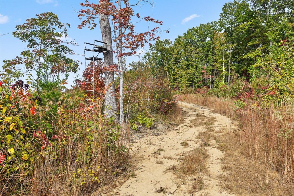 Spencer, Tennessee, 38585, United States, ,Land,Forsale,2009589