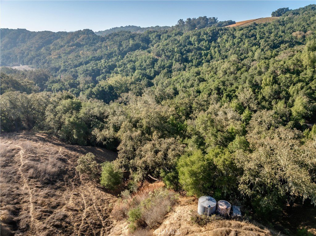 Templeton, California, 93465, United States, ,Land,Forsale,2009045