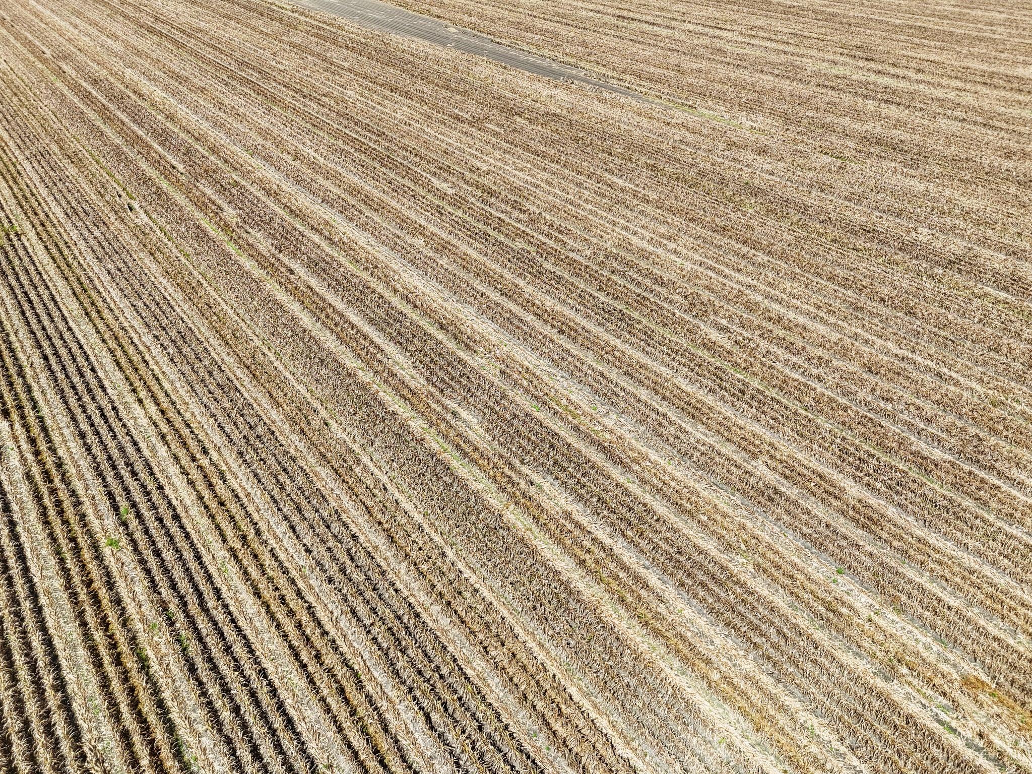 Needville, Texas, 77461, United States, ,Land,Forsale,1973439