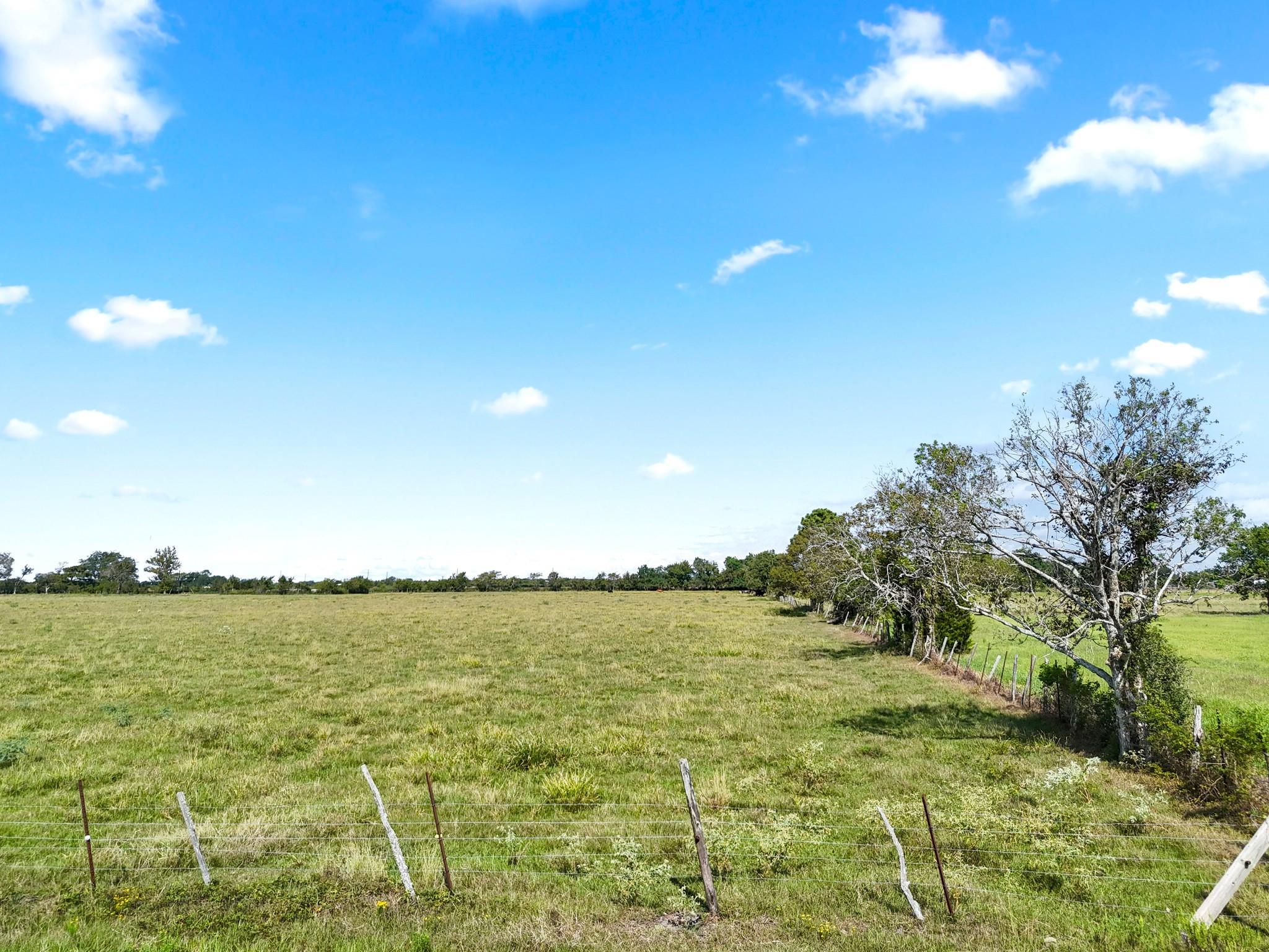 Needville, Texas, 77461, United States, ,Land,Forsale,1973438