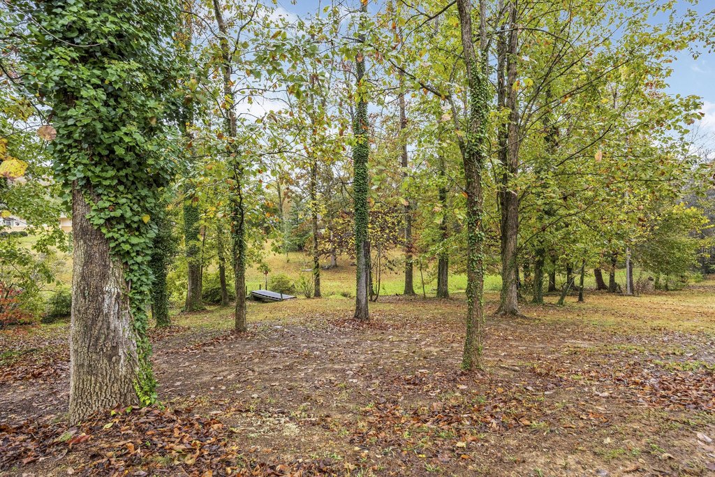 Trenton, Georgia, 30752, United States, 4 Bedrooms Bedrooms, ,3 BathroomsBathrooms,Residential,Forsale,2004698