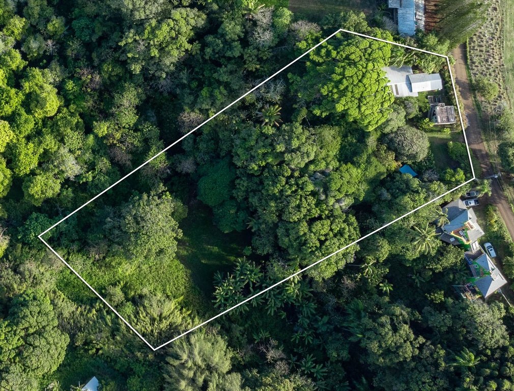 Kapaau, Hawaii, 96755, United States, 2 Bedrooms Bedrooms, ,1 BathroomBathrooms,Residential,Forsale,2004383