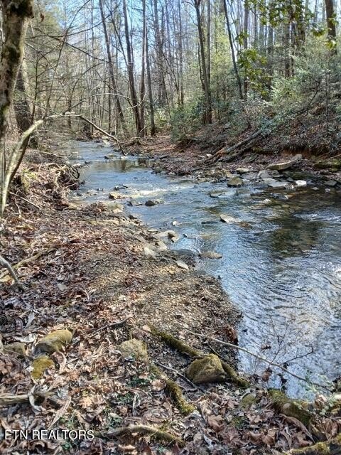 Lancing, Tennessee, 37770, United States, ,Land,Forsale,1999441