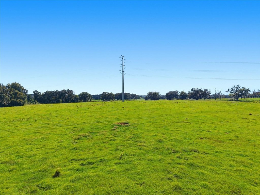 OCALA, Florida, 34475, United States, ,Land,Forsale,2004581