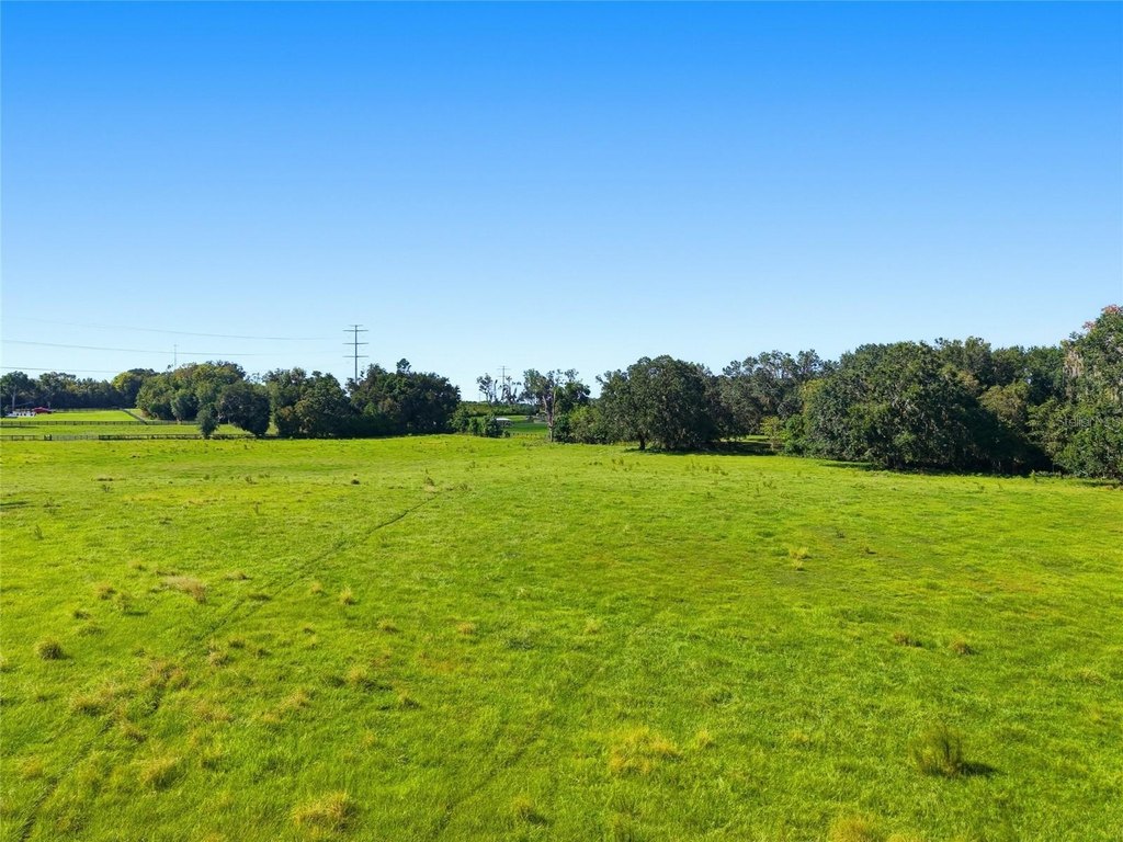 OCALA, Florida, 34475, United States, ,Land,Forsale,2004581