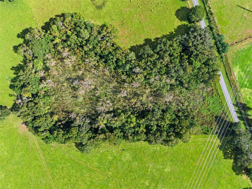 OCALA, Florida, 34475, United States, ,Land,Forsale,2004581