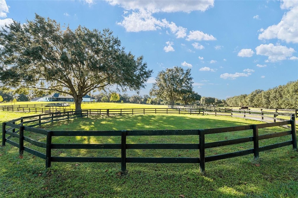 OCALA, Florida, 34476, United States, 4 Bedrooms Bedrooms, ,3 BathroomsBathrooms,Residential,Forsale,2004587