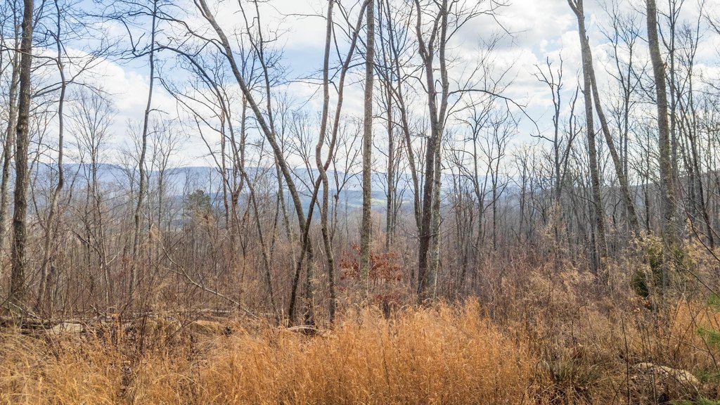Pikeville, Tennessee, 37367, United States, ,Land,Forsale,2004680