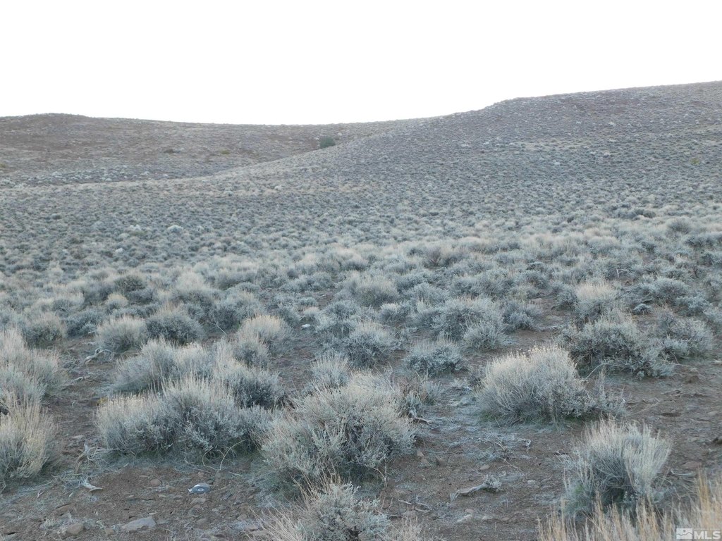 Dayton, Nevada, 89403, United States, ,Land,Forsale,1886494