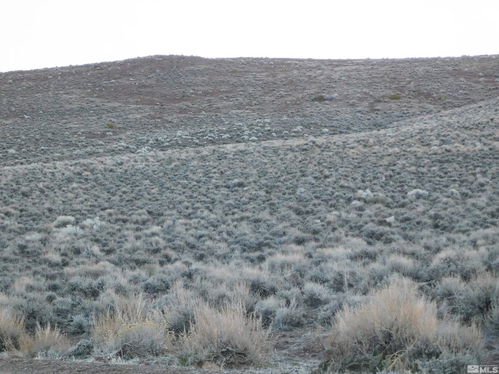 Dayton, Nevada, 89403, United States, ,Land,Forsale,1886494