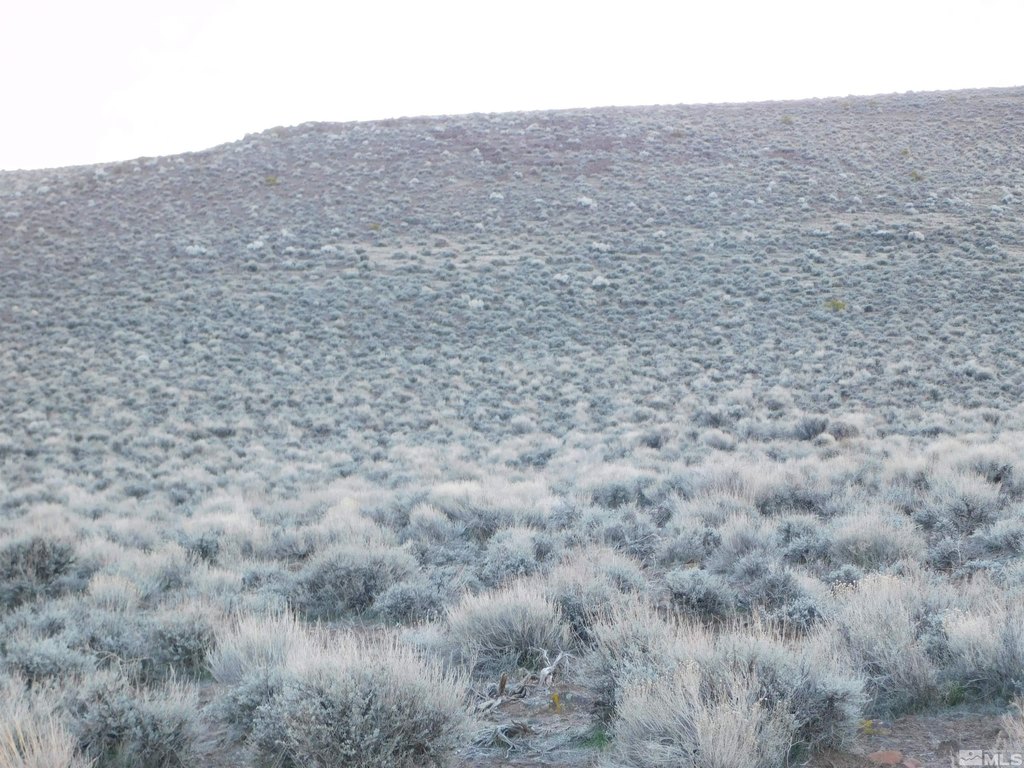 Dayton, Nevada, 89403, United States, ,Land,Forsale,1886494