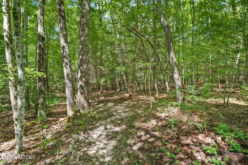 Jamestown, Tennessee, 38556, United States, 3 Bedrooms Bedrooms, ,2.5 BathroomsBathrooms,Residential,Forsale,1968510