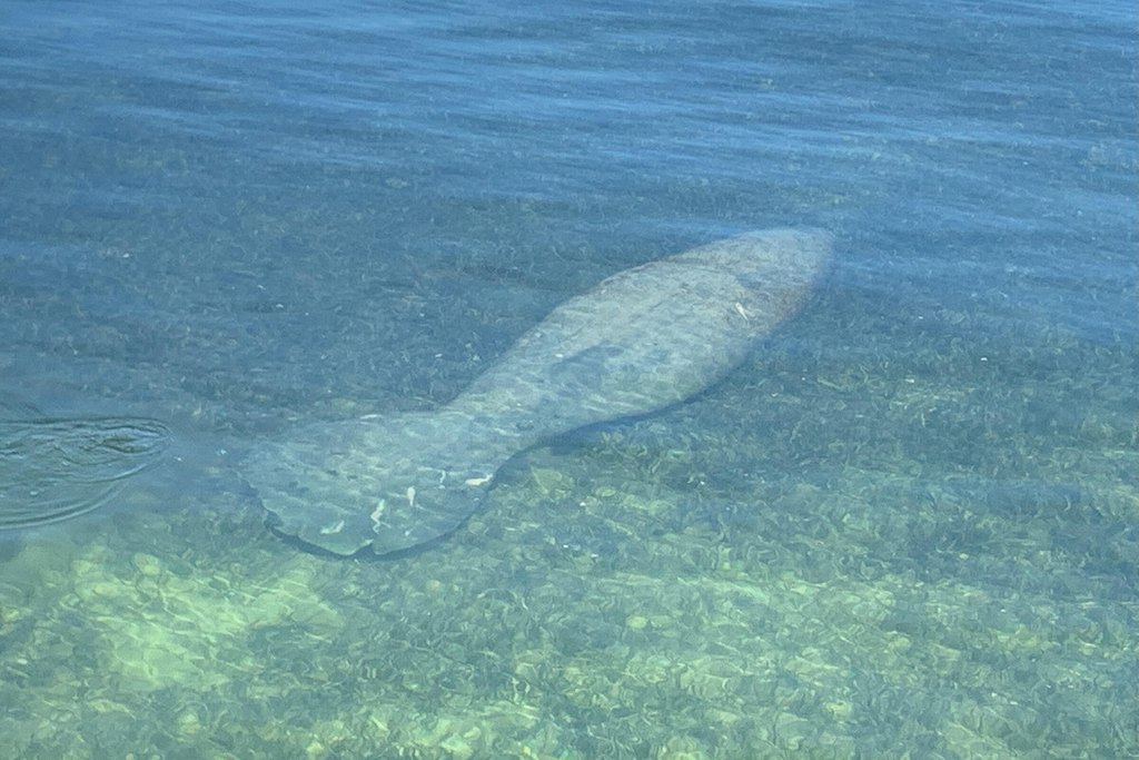 Upper Matecumbe Key Islamorada, Florida, 33036, United States, 3 Bedrooms Bedrooms, ,2.5 BathroomsBathrooms,Residential,Forsale,2004341