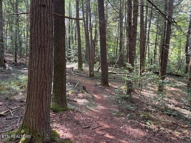 Crossville, Tennessee, 38558, United States, 3 Bedrooms Bedrooms, ,2.5 BathroomsBathrooms,Residential,Forsale,1968509