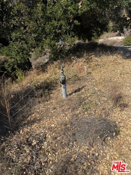 Malibu, California, 90265, United States, ,Land,Forsale,2009619