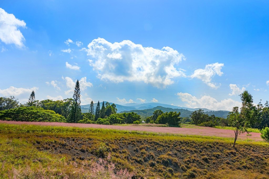 Lahaina, Hawaii, 96761, United States, ,Land,Forsale,2009551