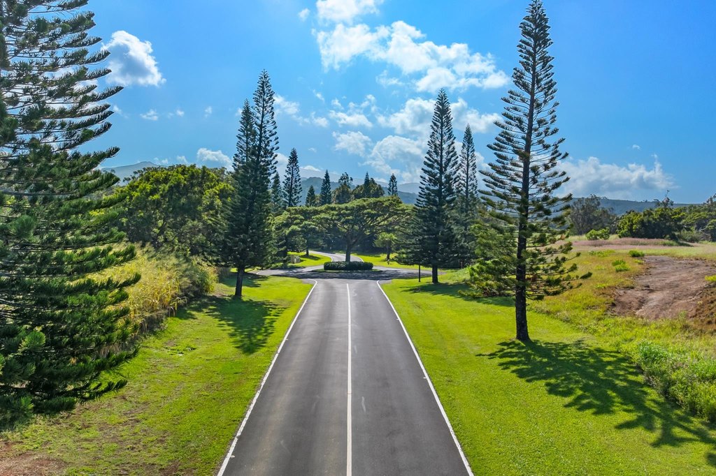 Lahaina, Hawaii, 96761, United States, ,Land,Forsale,2009551