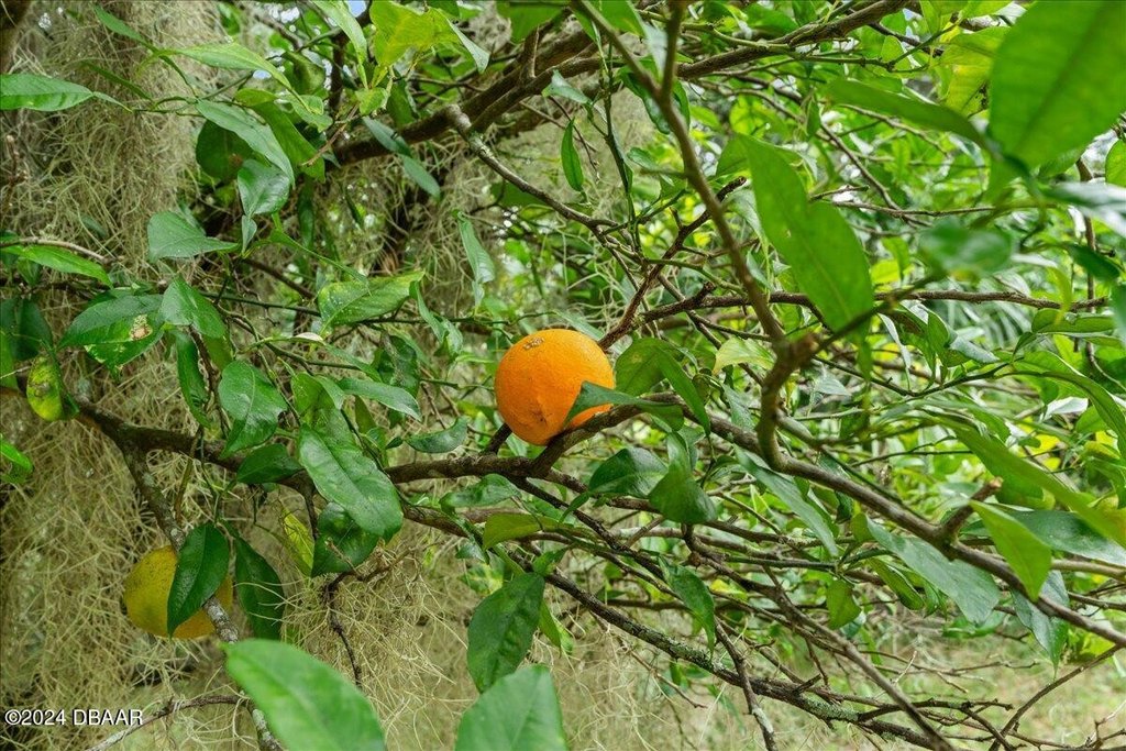 Flagler Beach, Florida, 32136, United States, ,Land,Forsale,2002762