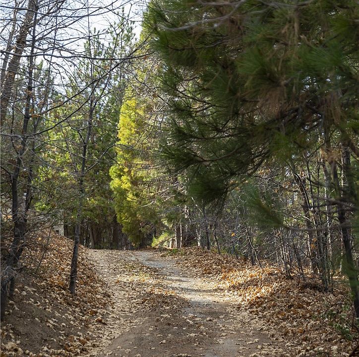 Lake Arrowhead, California, 92352, United States, 3 Bedrooms Bedrooms, ,3 BathroomsBathrooms,Residential,Forsale,2004866