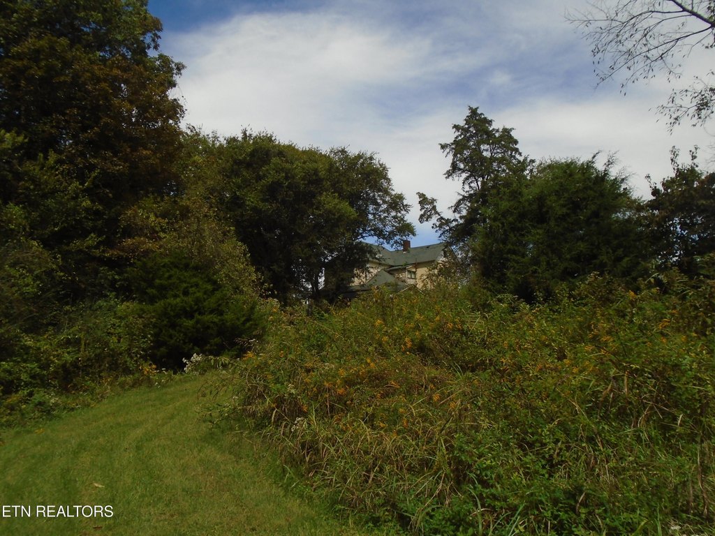 Friendsville, Tennessee, 37737, United States, 3 Bedrooms Bedrooms, ,2 BathroomsBathrooms,Residential,Forsale,1973588