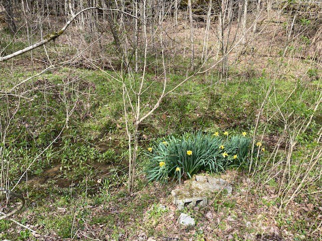 Hilham, Tennessee, 38568, United States, ,Land,Forsale,1999489