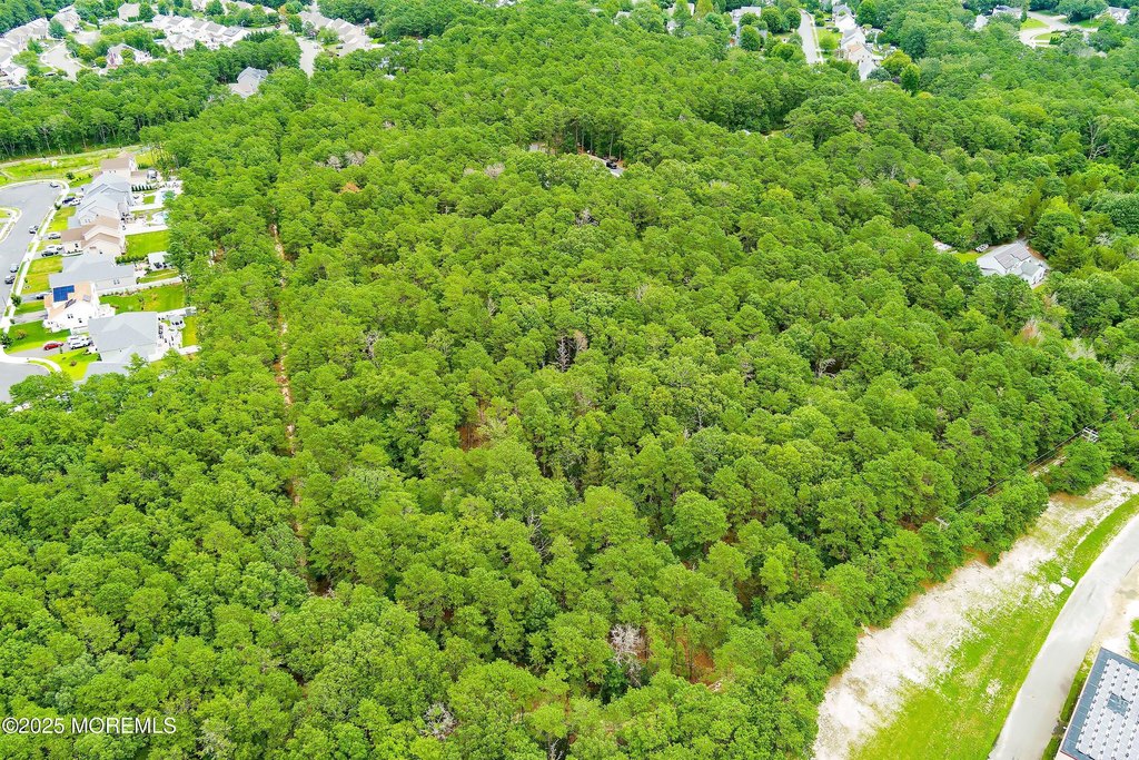 Barnegat, New Jersey, 08005, United States, ,Land,Forsale,1984546