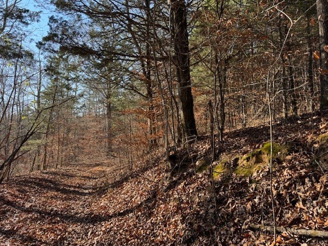 Celina, Tennessee, 38551, United States, ,Land,Forsale,1999487