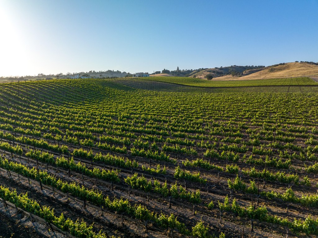 SANTA YNEZ, California, 93460, United States, ,Land,Forsale,1985949