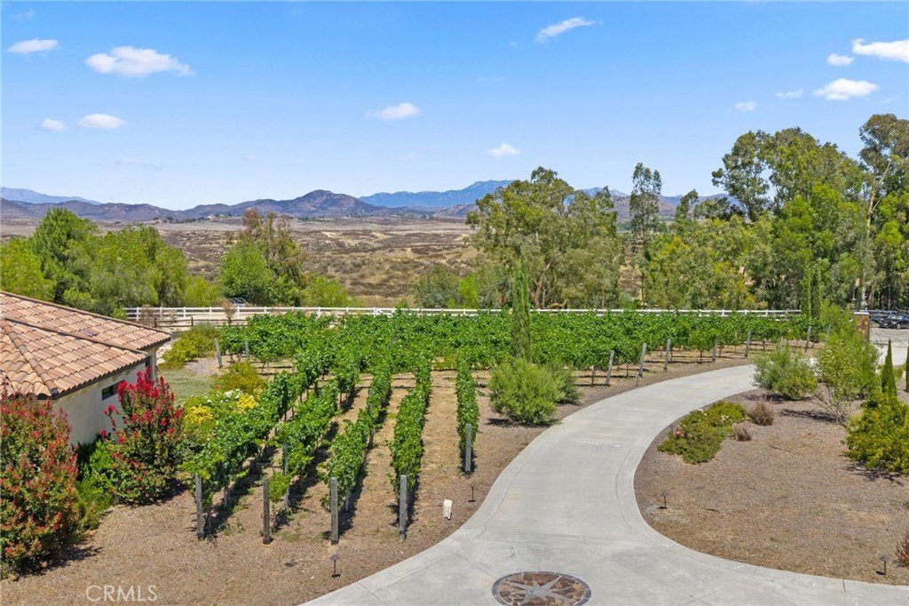 Temecula, California, 92591, United States, 7 Bedrooms Bedrooms, ,6.5 BathroomsBathrooms,Residential,Forsale,1959783