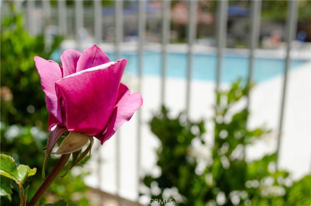 Canyon Country, California, 91387, United States, 3 Bedrooms Bedrooms, ,2.5 BathroomsBathrooms,Residential,Forsale,1893831