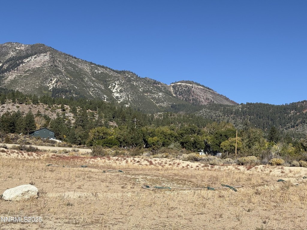 Washoe Valley, Nevada, 89704, United States, ,Land,Forsale,1993792