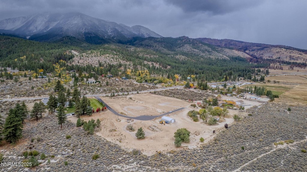 Washoe Valley, Nevada, 89704, United States, ,Land,Forsale,1993792