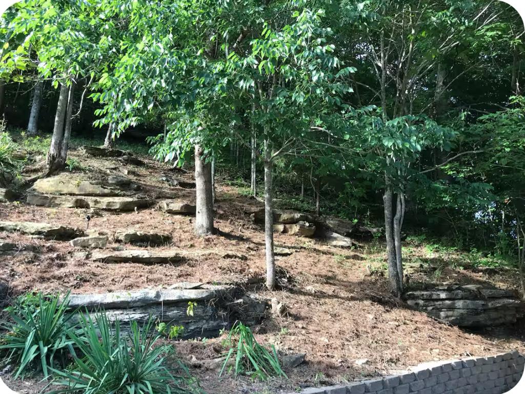 Celina, Tennessee, 38551, United States, ,Residential,Forsale,1999483