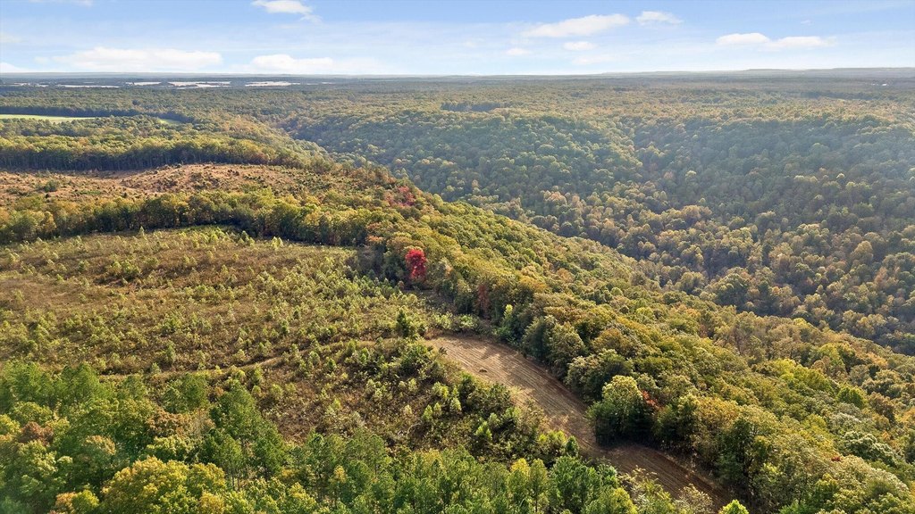 Spencer, Tennessee, 38585, United States, ,Land,Forsale,2009589