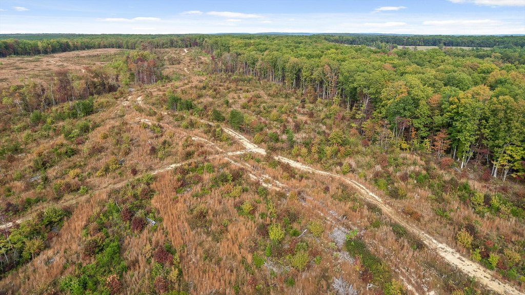 Spencer, Tennessee, 38585, United States, ,Land,Forsale,2009589