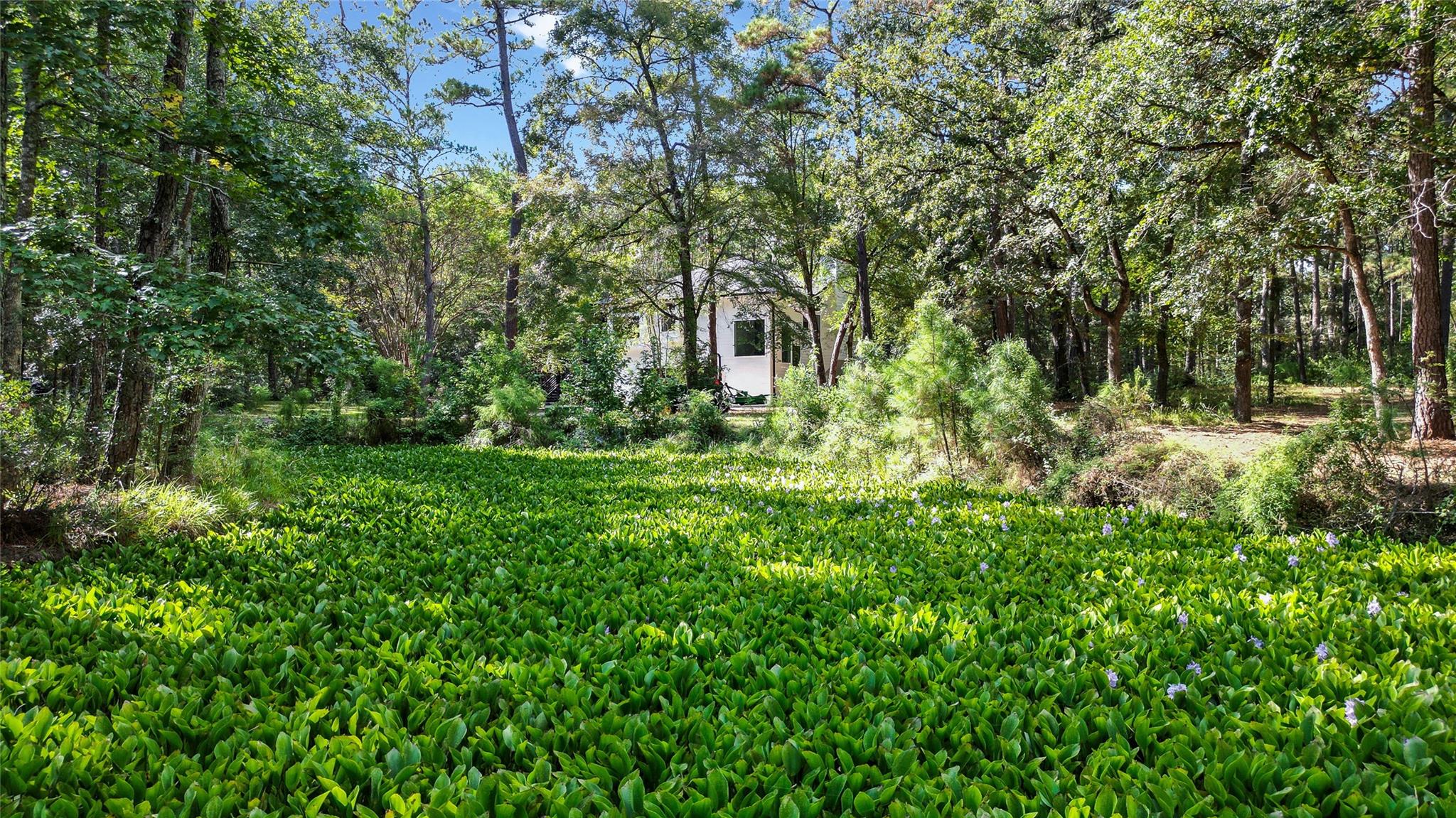 Magnolia, Texas, 77355, United States, 3 Bedrooms Bedrooms, ,2 BathroomsBathrooms,Residential,Forsale,1973425