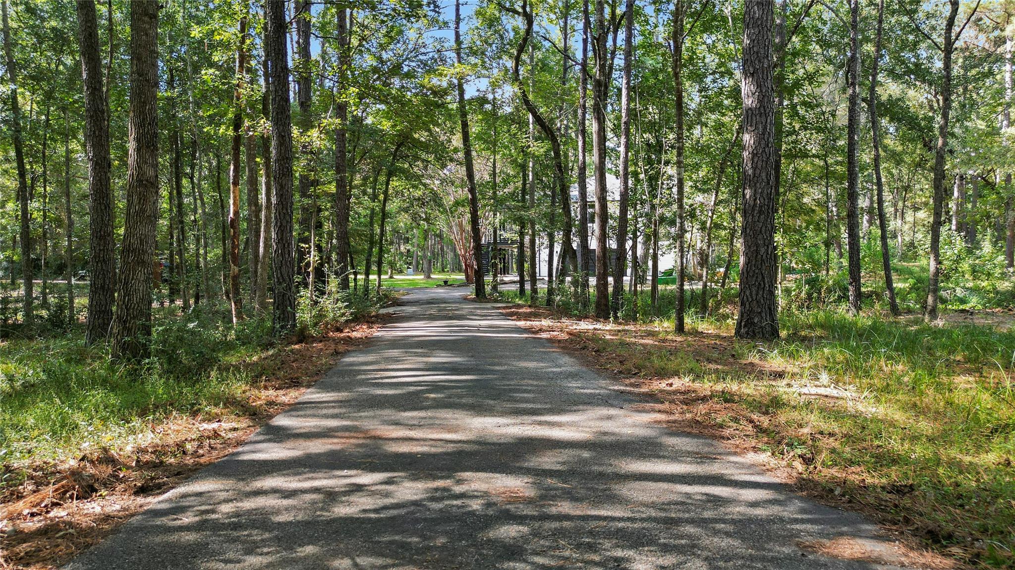 Magnolia, Texas, 77355, United States, 3 Bedrooms Bedrooms, ,2 BathroomsBathrooms,Residential,Forsale,1973425